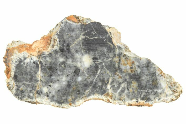 Lunar Meteorite ( g) Slice - Bechar #360569